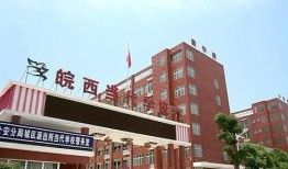重庆新学校爆料视频最新,校园风采与教育理念首次曝光
